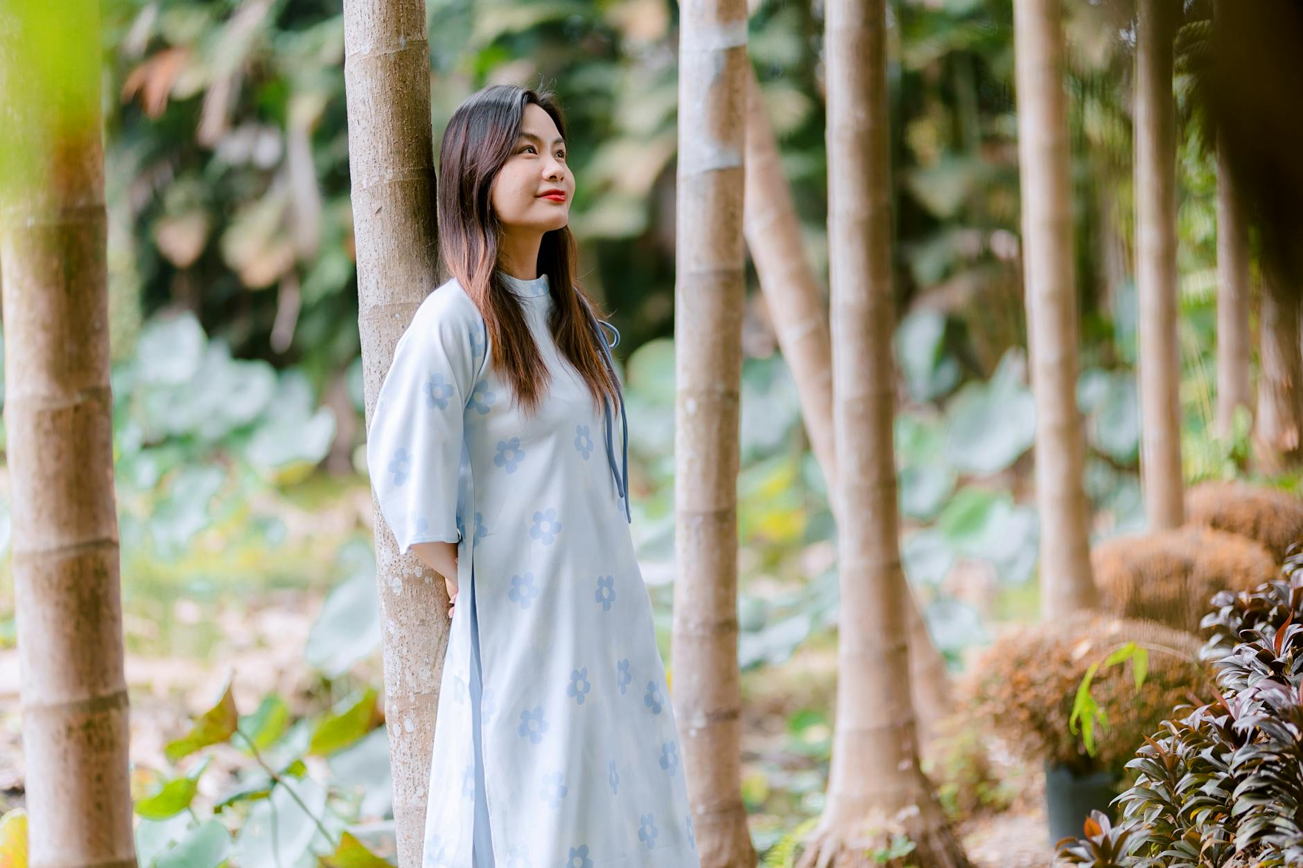 予算別・アイテム別選び方ガイド